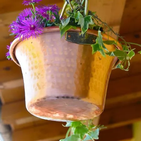 Robertalagocomo Apartament