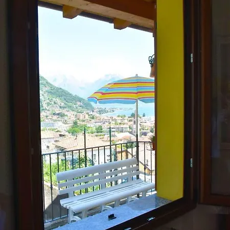 Robertalagocomo 赫拉弗多纳