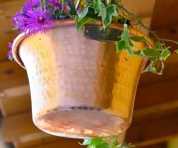 Robertalagocomo Appartement